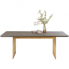 Table Cesaro 200x100cm